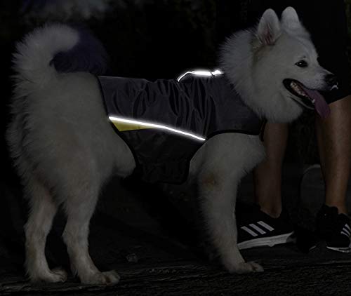 Dog Anxiety Jacket (Gery / XL (Pack of 1))