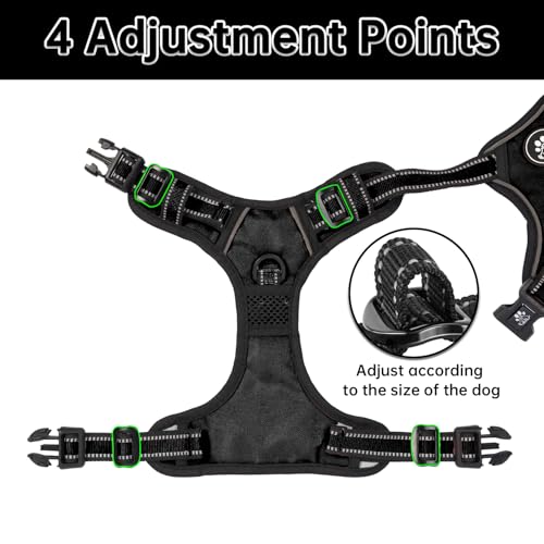 Dog Harness for Medium Sized Dog (Black / Medium)