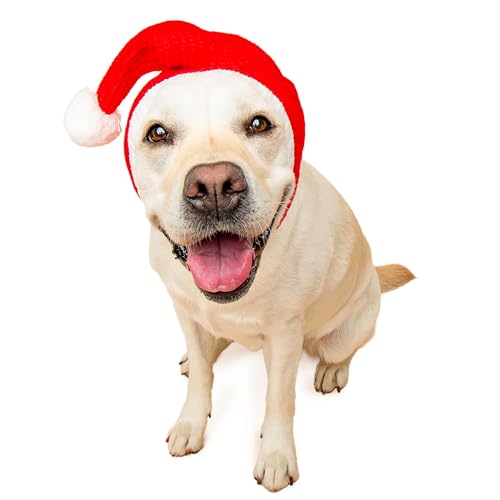 Christmas Santa Hat Costume (Santa Hat / Large)