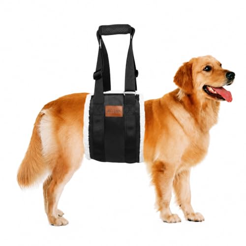 Dog Lifting Sling Dog Lift Harness for Back Legs (Medium / Black)