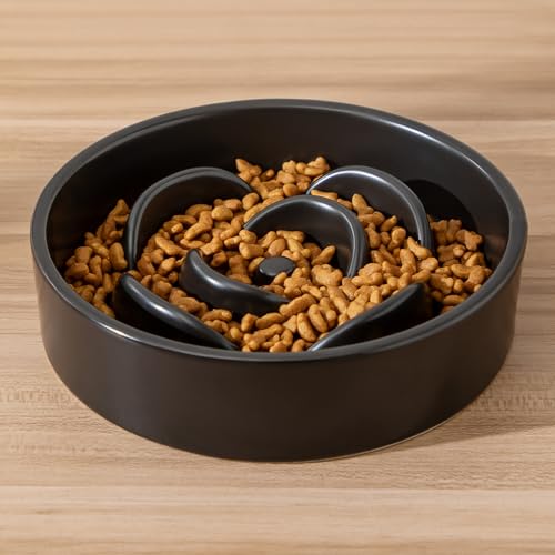 6'' Ceramic Slow Feeder Dog Bowls (6 inch / Black)
