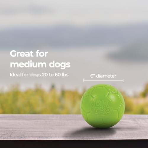 Medium Soccer Ball Floating (6 Inch Diameter / Apple Green)