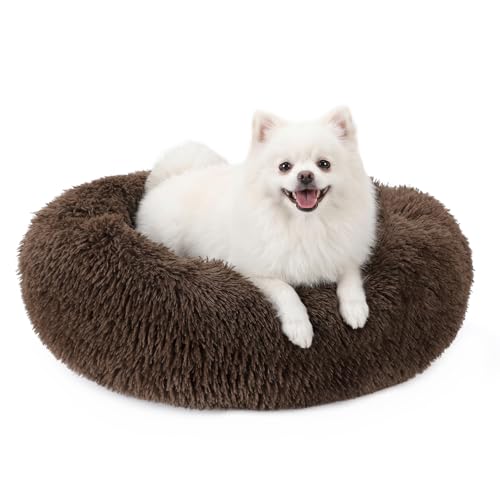 Orthopedic Dog Bed Comfortable Donut Cuddler Round Pet Beds Ultra Soft Washable Dog and Cat Cushion Bed (S(23’’x 23’’) / Chocolate)