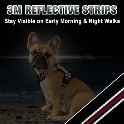 Dog Harness for Small Sized Dog No Pull Dog Vest ID Tag Pocket (Pink/Black / X-Small)