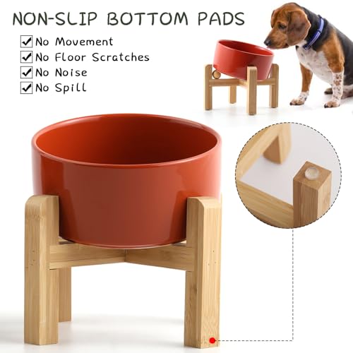 Elevated Raised 15°Slanted Ceramic Dog Bowl for Small and Medium Breeds (Rust Red / 3.6 CUPS - Medium Dog Bowls)