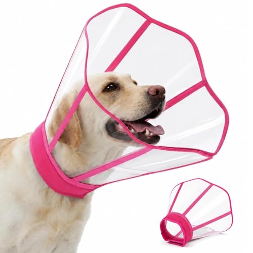 Hard Plastic Dog Surgery Recovery Cone Collar with Soft Neck Pad (Rosered / Medium)
