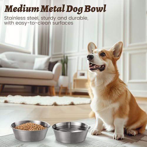 Heavy Duty Stainless Steel Dog Bowl (6 Cups / Basic Bowl)