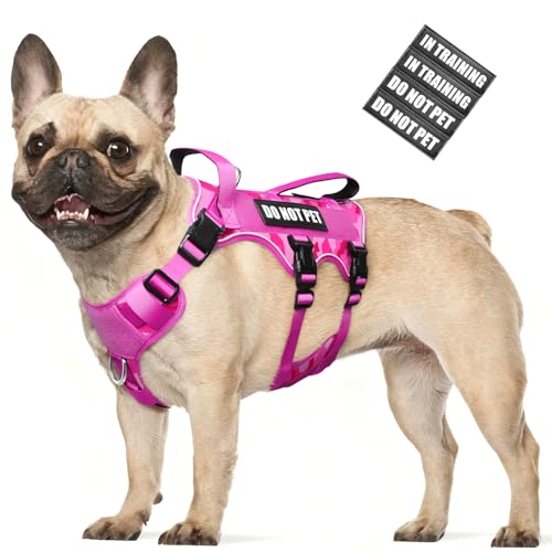 Escape Proof Dog Harness with Double Handle+4 Removable Patches (Medium / Camo Pink)