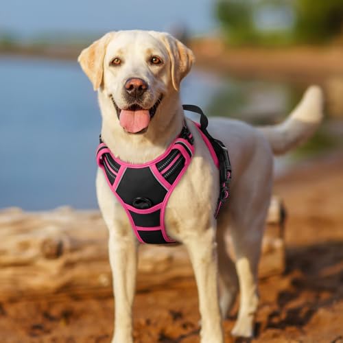 Dog Harness No Pull for Large Dogs with 2 Leash Clips (X-Large / Black & Hot Pink)