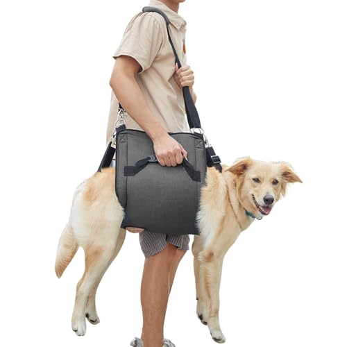 Dog Carry Sling (31.5"L x 13.8"W x 1.0"H / Black)