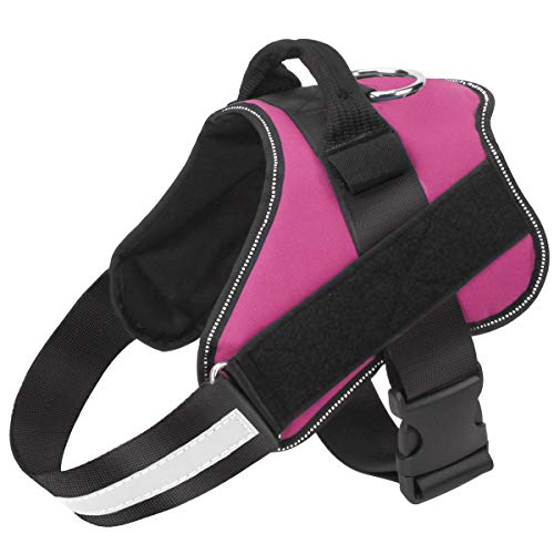 Dog Harness No (Large (Pack of 1) / Rose red)