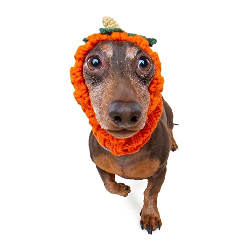 Pumpkin Dog Costume (Pumpkin / Small)