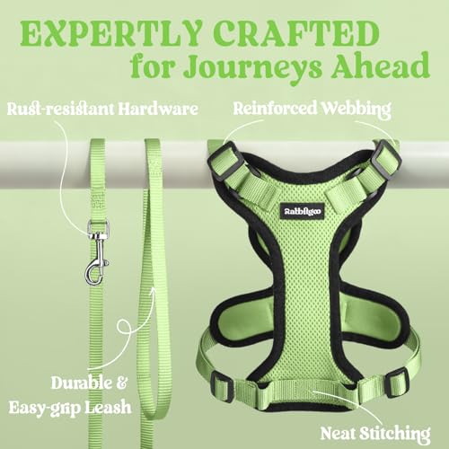 Cat Harness and Leash Set (Xxs / Light Green)