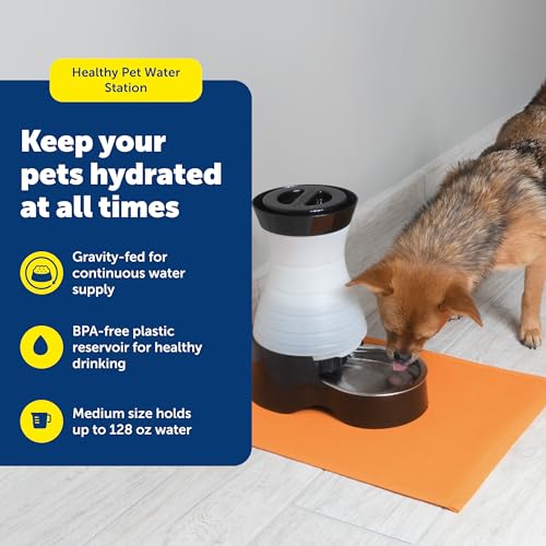 Healthy Pet Water Station (Waterer / Medium)