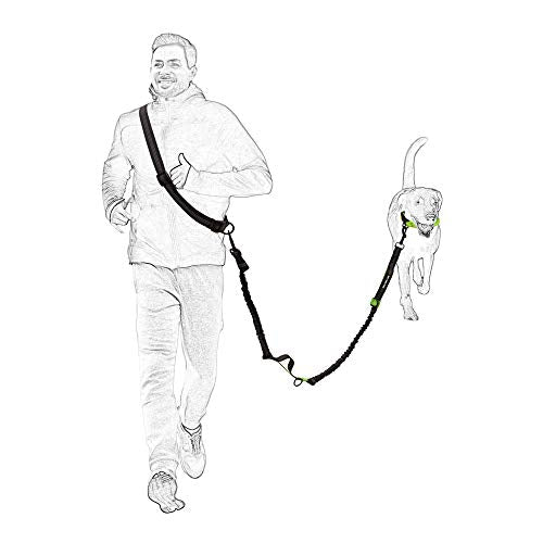 Hands Free Leash (Black Blue / 7FT Hands Free)