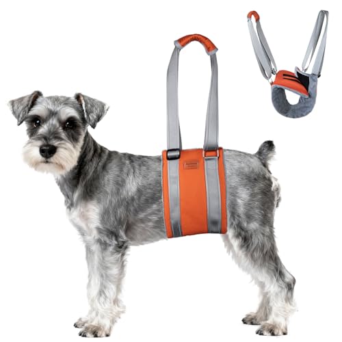 Dog Lift Harness (M / Brown)