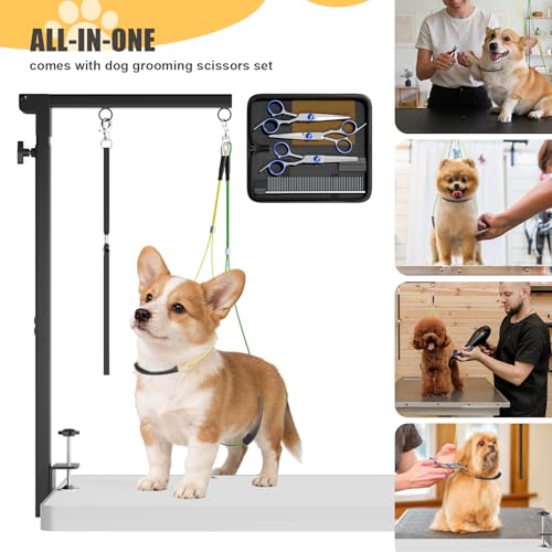 Foldable Dog Grooming Arm with Clamp (29''-41''(H) / Blue)