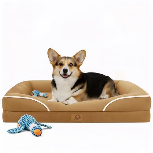 Dog Bed Large Sized Dog (36.0"Lx27.0"Wx6.5"H / 02-Brown)