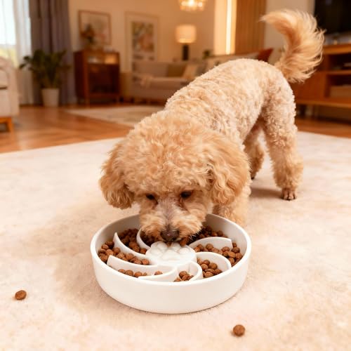 Ceramic Slow Feeder Dog Bowl (White)