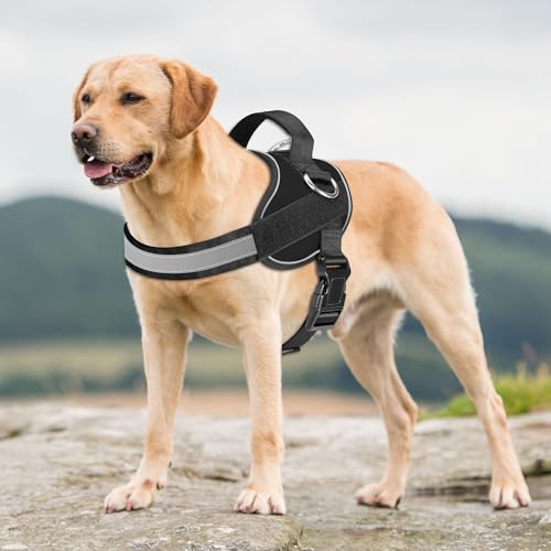 Essential Dog Harness (L / Black)
