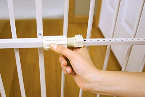 Carlson 24 38" Lil Tuffy Expandable Metal Dog Gate for Doorways