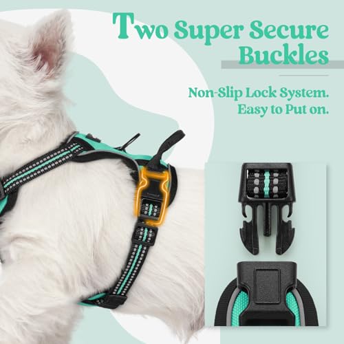 Dog Harness No Pull for Small Dogs with 2 Leash Clips (X-Small / Turquoise)