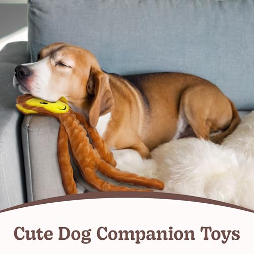 No Stuffing Dog Toys 5 Pack (For Medium and Large Breed / 1 Pack - Monkey)