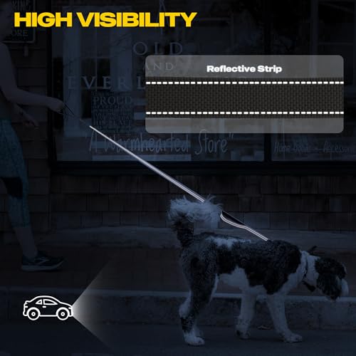 10 FT Heavy Duty Dog Leash (10 Feet (Pack of 1) / Grey)