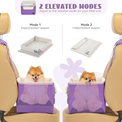 Small Dog Car Seat