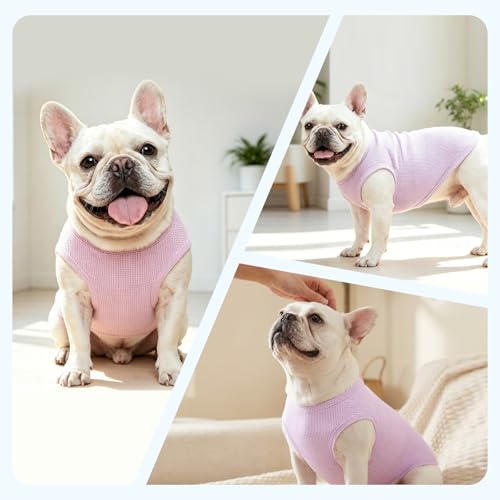 Dog Clothes for Small Dogs (Green&Blue&Purple / Medium(4.1-9lb))