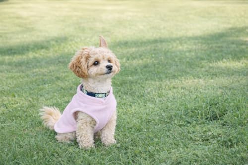 Dog Fleece Vest Sweater w (S (4-6lbs) / Pink Lemonade)