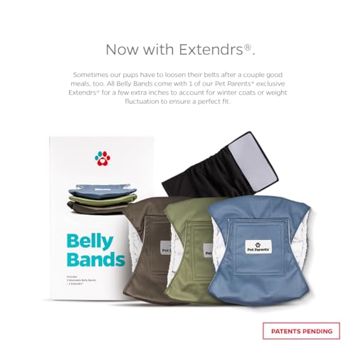 Washable Belly Bands for Male Dogs (Large (20-25") / Koda)