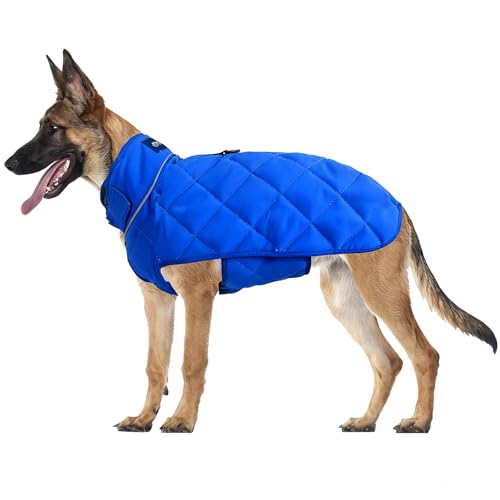 Weighted Dog Vest (Blue / Small)