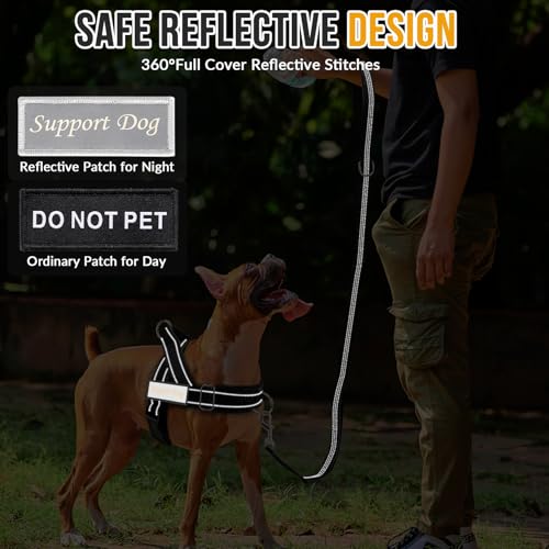 No Pull Dog Harness and Leash Set (Black / Small)