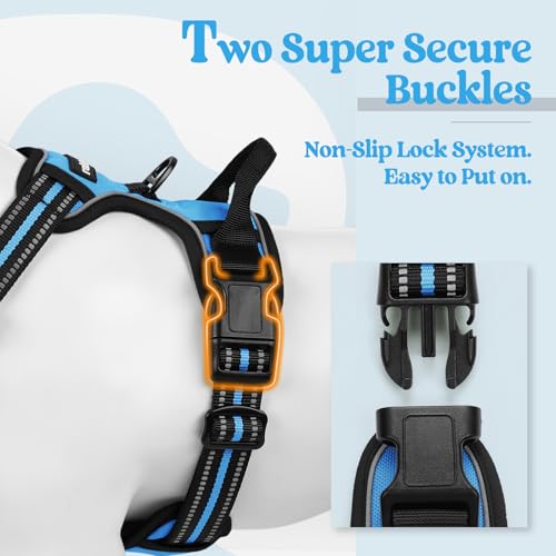Dog Harness No Pull for Large Dogs with 2 Leash Clips (Large / Blue)