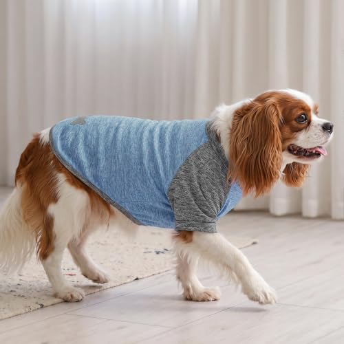 2Pack Dog Shirt for Small Dogs Sun Protection Tank Top with Sleeves (Small (4-7lbs) / 1# 2Pack(Blue+Grey))