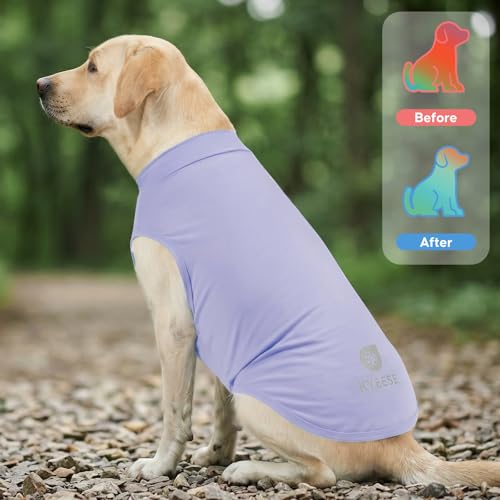 2Pack Dog Cooling Shirt with UPF 50+ UV Protection (XXX-Large (55-75lbs) / Purple)