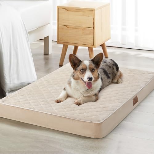 Orthopedic Waterproof Large Sized Senior Dogs Bed for Comfy Sleep (Beige / 36"L x 27"W x 3"Th)