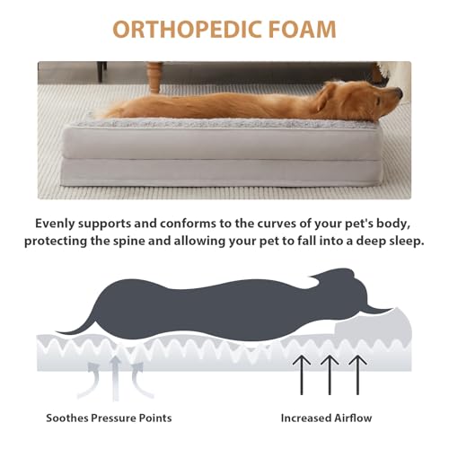 Orthopedic Washable Dog Bed (Silver Grey / 36.0"l x 27.0"w x 6.5"th)