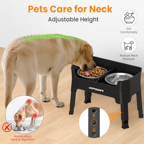 Elevated Dog Bowls (Black / Large)