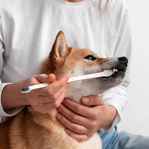 Eco Friendly Pet Toothbrushes
