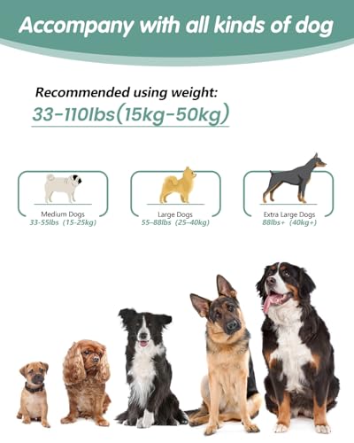 Hands Free Dog Leash (Green / Large-5.9-9.5ft)