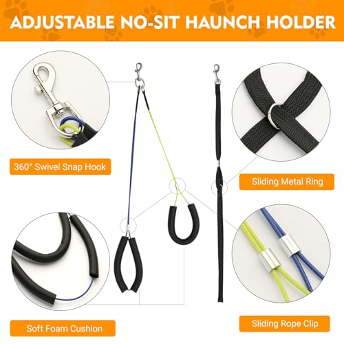 Adjustable Dog Grooming Arm with Heavy (Style 2 / Small)