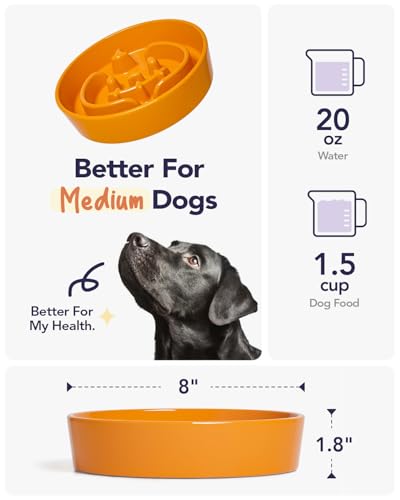Ceramic Slow Feeder Dog Bowl for Small Medium Dogs & Puppy (Pumpkin Orange / M-1.5 Cups)