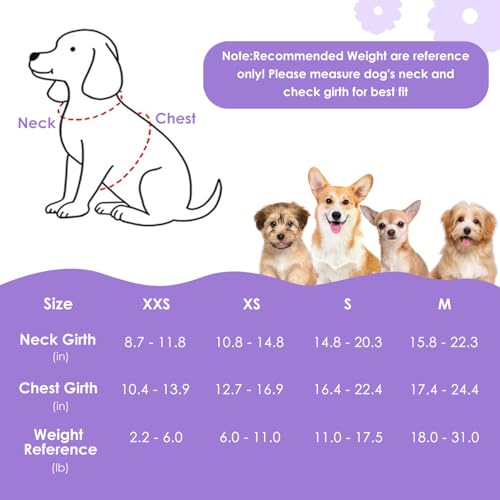 No Pull Dog Harness with Leash for Small Medium Dogs (X-Small(6-11lb) / Solid Purple)