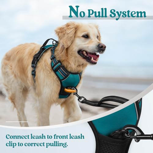 Dog Harness No Pull for Large Dogs with 2 Leash Clips (Large / Blue Coral)