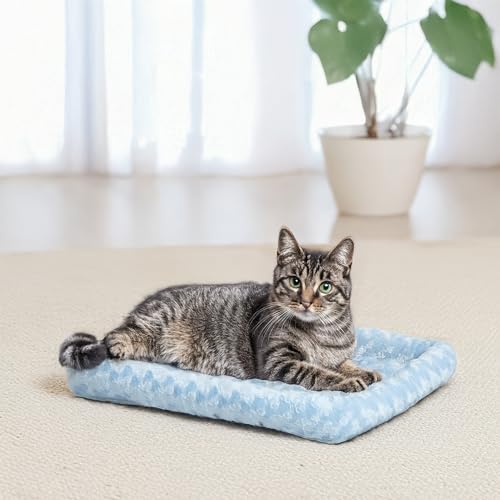 QuietTime Fashion XXS Dog Bed (Blue / 18 Inch)