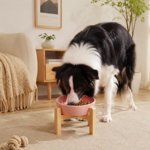 8.66 in Dog Bowl Ceramic Slow Feeder for Medium Large Dogs (Pink / 8.66in)