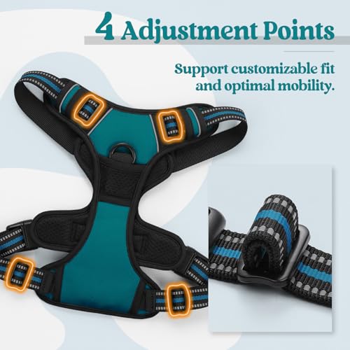 Dog Harness No Pull Medium Sized with 2 Leash Clips (Medium / Blue Coral)