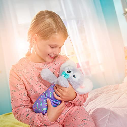 Cozy Dozy Kip The Koala Bear (Kip The Koala)